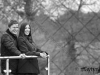 img_016 img_016