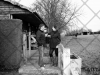 img_6777 img_6777