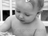 dsc_0041 dsc_0041