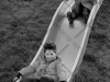 img_7336 img_7336