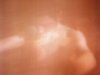 96712748_2c91bd0b33 96712748_2c91bd0b33