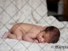 img_6334 img_6334