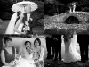 wedding-5 wedding-5